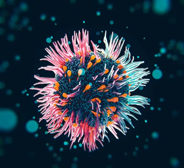 Sztuczna inteligencja w życiu codziennym: realne zastosowania i przykłady Sztuczna inteligencja w życiu codziennym: realne zastosowania i przykłady